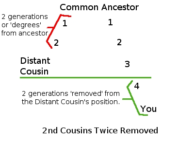 Diagram showing two cousins at different generations, twice removed