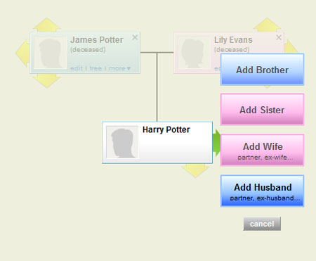 Family History of Harry Potter